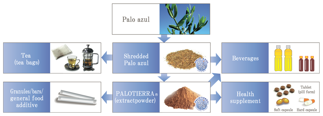 Palo Azul processed into tea leaves and extracts
